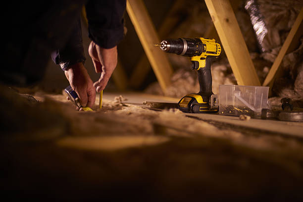 Best Insulation Installation Services in Argo, AL